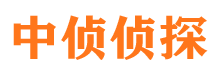 九龙坡市调查公司